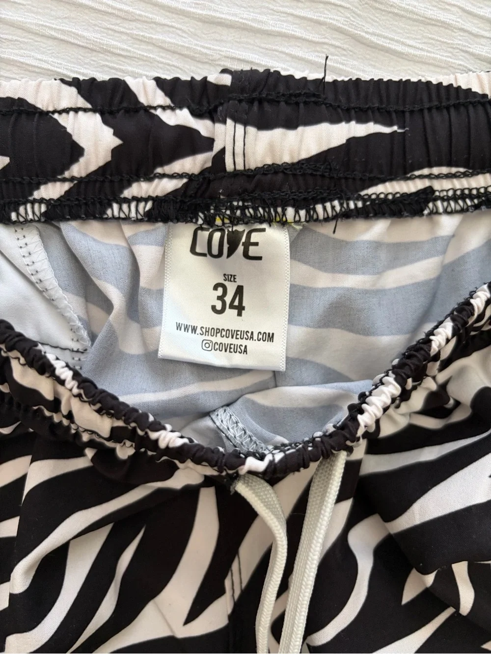 Cove bold zebra